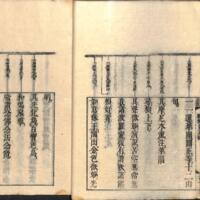 019-ZN01010.jpg
