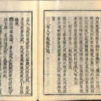 038-ZN00092.jpg