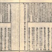 011-ZN01126.jpg