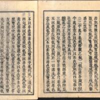 041-ZN00091.jpg