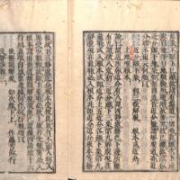 053-ZN00236.jpg